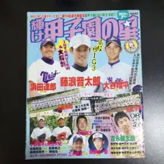 大谷翔平　藤浪晋太郎　夏の甲子園 特集号　パンフレット 大谷翔平 藤浪晋太郎 夏の甲子園 特集号 パンフレット - メルカリ