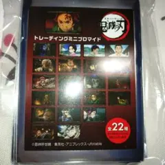 鬼滅の刃　トレーディングミニブロマイド　コンプリートセット