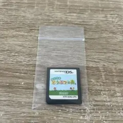 任天堂　Nintendo ニンテンドー　DS ソフト　おいでよどうぶつの森