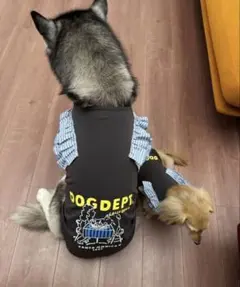 Item thumbnail for item 08aabfb0-639e-4b67-8380-6f4a3f2a9f12