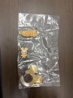 TWICE ガチャガチャ　カラビナ　ジヒョ