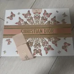 CHRISTIAN DIOR ディオール 2026 春 限定 ショッパー