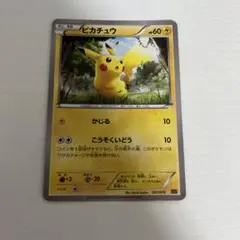 025/DP-P [バトルロードスプリング☆2007] ピカチュウ DPプロモーシ… PROMO スプリング★2007」 ピカチュウ：「バトルロード 買取 ポケモン | ポケモンカードゲーム