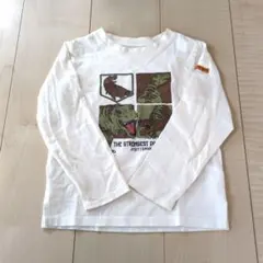 Item thumbnail for item c821ef49-7ed3-4074-bc4c-776e76544eac