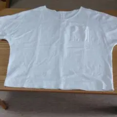 studio　cLip スタジオクリップ　レディースTシャツ　トップス半袖