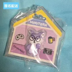 MINITEEN パッケージチャーム&グミ FOXDUNGEE