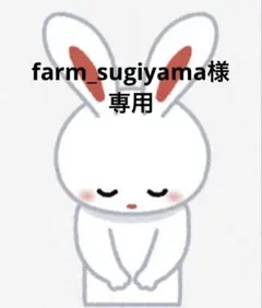 ラブブ洋服　　着せ替え　セット　ぬい服