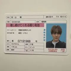 岩瀬洋志 タカラのびいどろ 学生証 志賀宝 - メルカリ