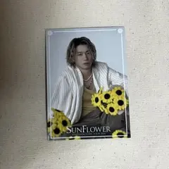 FANTASTICS フォトカ 瀬口黎弥