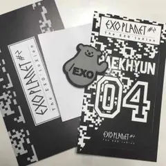非売品 EXO ICカード ベッキョン SMtown ピン バッジ