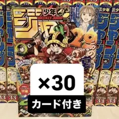 少年ジャンプ ワンピースカードゲーム モンキー・D・ルフィ 付録カード
