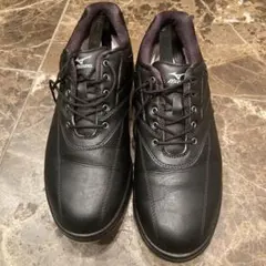 Item thumbnail for item 8f533df4-8854-495f-afc2-d686009ecf3c