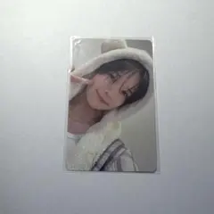 K アニマル