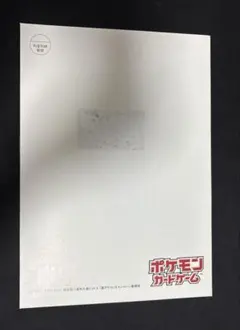 ポケモンカード 夏ポケカ 封筒 台紙 懸賞 シャワーズ サンダース