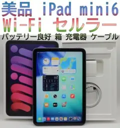 美品iPad mini6 第6世代 セルラー バッテリー良好 充電器 ケーブル箱