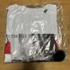 アメリカ Tシャツ