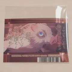 鬼滅の刃 クリアカード アニメイトフェア 伊之助