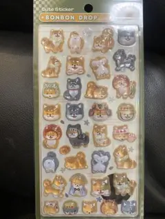 正規品【ボンボンドロップシール】クーリア　和柄　柴犬