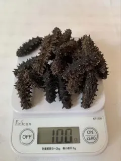 乾燥 沖なまこ ナマコ 500g A品 - メルカリ