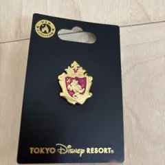 東京ディズニーリゾート ミニーのピンバッジ