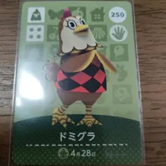 あつまれどうぶつの森　amiiboカード　ドミグラ