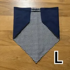 Item thumbnail for item 46895351-c94b-4715-b616-b79ce306a1b5