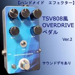 【GRN Drive】自作TSV808/ブロンズ色/9〜18V電源対応 2025年最新】tsv808の人気アイテム - メルカリ