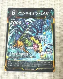蟲神器　ニシキオオツバメガUR　色彩の加護