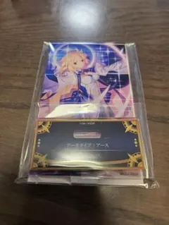 Fate FGO 最終再臨展 アクリルスタンド 月姫 アーキタイプ アース