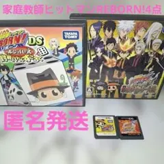 家庭教師ヒットマンREBORN!シリーズ　　DSソフト　　4点まとめ売り