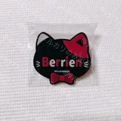 あくねこ ナンジャタウン ネームバッジ