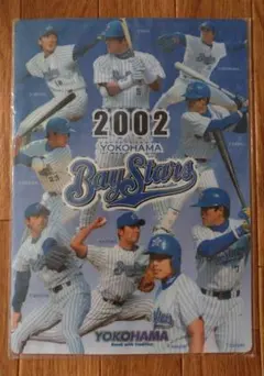 横浜ベイスターズ　1995年　下敷き 横浜 ベイスターズ 下敷き DeNA 三浦 監督 優勝 - メルカリ