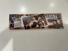 ロングステッカー ハイキュー!! 烏野高校 澤村大地 菅原孝支 東峰旭