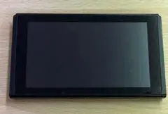 【ジャンク品】スイッチ本体のみ