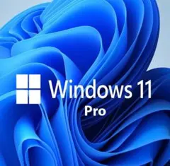 Microsoft Windows 11 Pro日本語版 入りusbのサムネイル