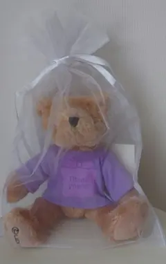 レクサス（LEXUS）非売品ミニベアー