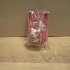 HELLO KITTY パッケージミニチュアコレクション　チャーミー