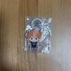 【ハイキュー】 日向翔陽