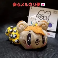 ジェ猫 ジェネ高 GENERATIONS シュシュ 片寄涼太