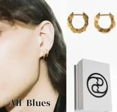 2025年最新】all blues ピアスの人気アイテム - メルカリ