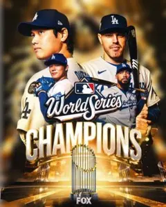 2025 WS連覇チャンピオン　ポスター調★252