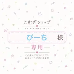 【専用ページ】ぴーち様
