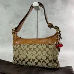 美品】COACH コーチ オプシグネチャー フラワーアップリケショルダー 