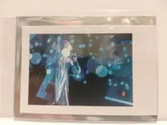 いれいす hotoke 実写チェキ 2024 Irregular Dice