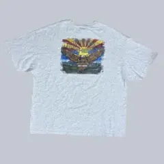 特大 HARLEY-DAVIDSON tシャツ 両面プリント 3XL