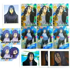 WIND BREAKER ぱしゃこれ カード シール 杉下京太郎 14枚セット