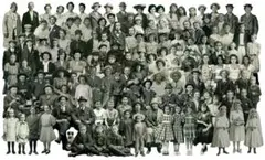 【新品】ティムホルツ ダイカット (Groups) 50ピース