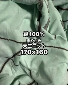爽やかなお色の天竺ニット