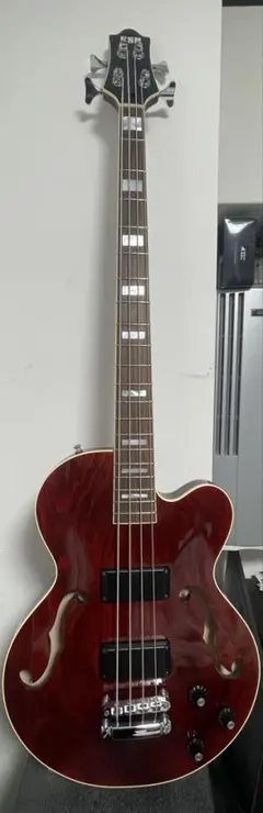 ESP S-AH ～霞～のサムネイル