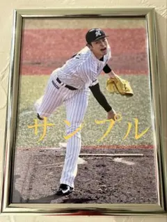 オリックス 金子千尋 直筆サイン フォト スポニチフェス 四つ切り
